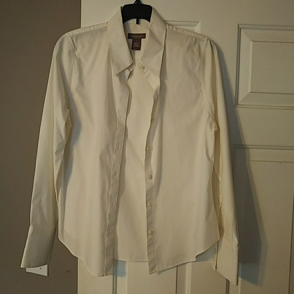 Professional button up